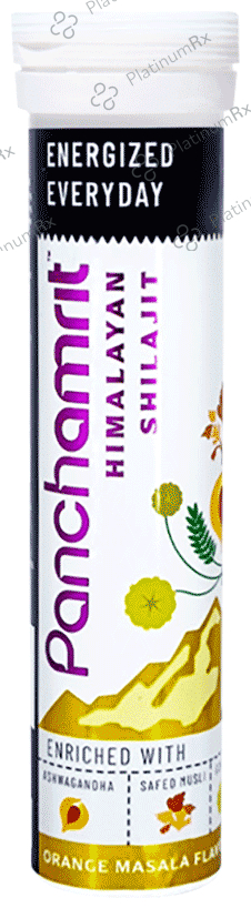 Panchamrit Himalayan Shilajit Tablet Orange