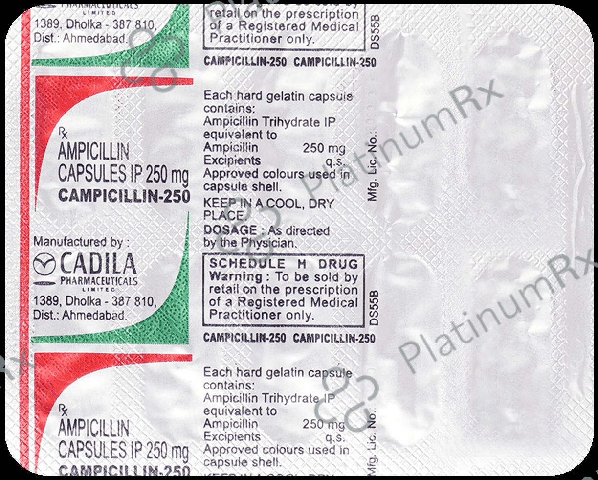 Campicillin 250 Capsule