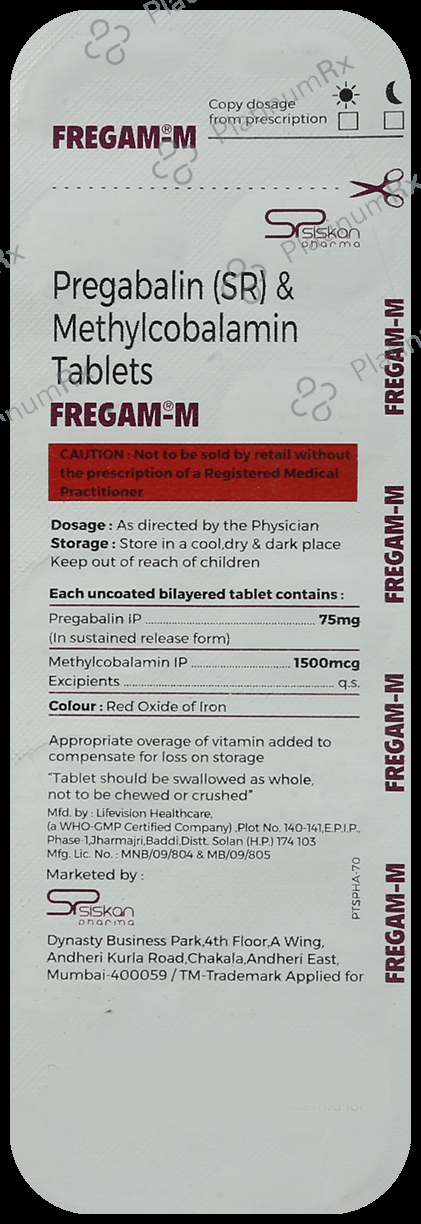 Fregam-M Tablet SR