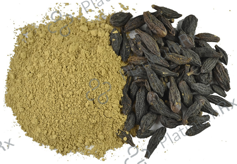 Dark Forest Himej Powder
