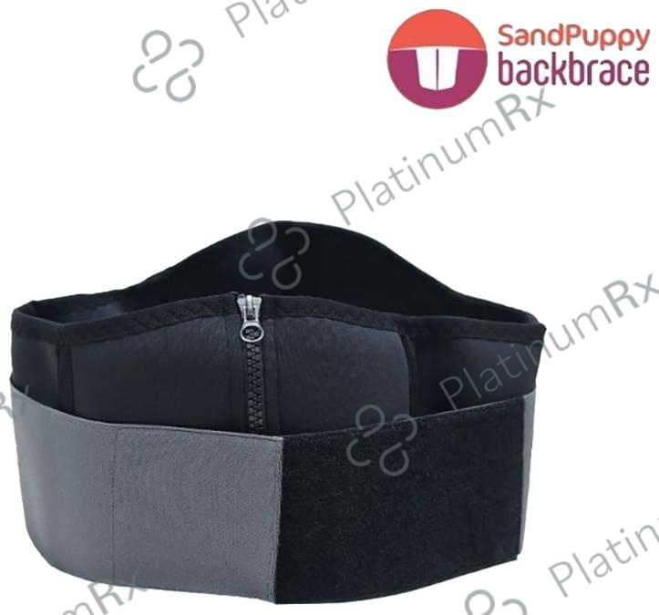 SandPuppy Backbrace Lumbar Support Belt Medium Black