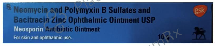 Neosporin Ointment 10 Ointment
