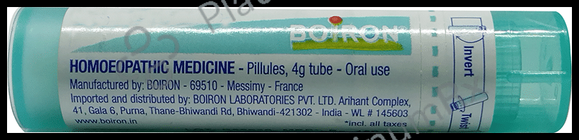 Boiron Rhus Toxicodendron Pellets 10M
