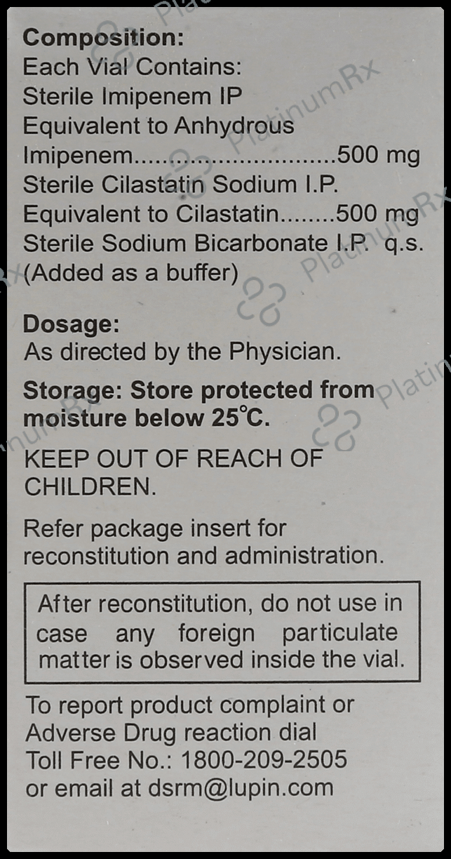 Lupinem 500/500mg Injection 1s