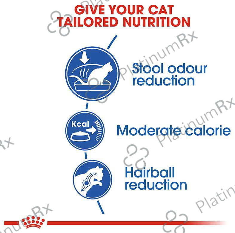 Royal Canin Dry Cat Food Indoor 27 400 gm