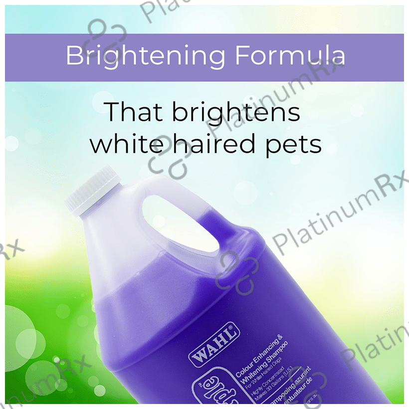 Wahl Absolute Purple Shampoo