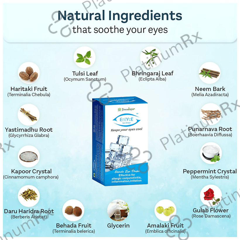 Jiwadaya Entyce Eye Drop (10ml Each) 10 bottles
