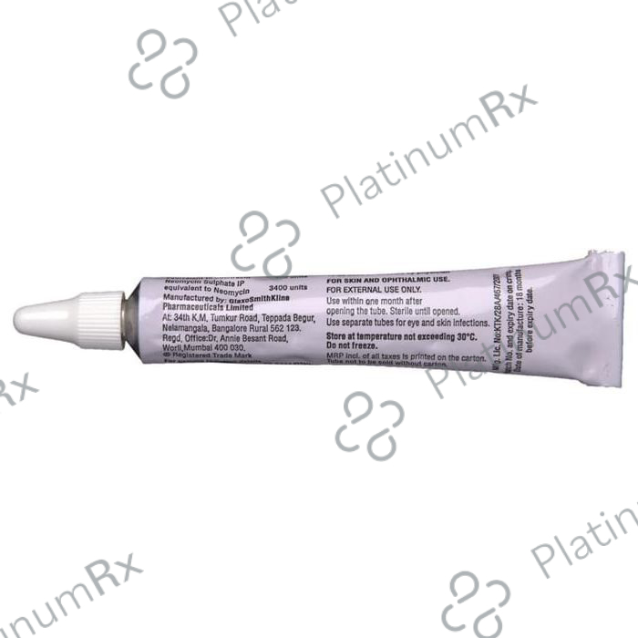 Neosporin Ointment 10 Ointment