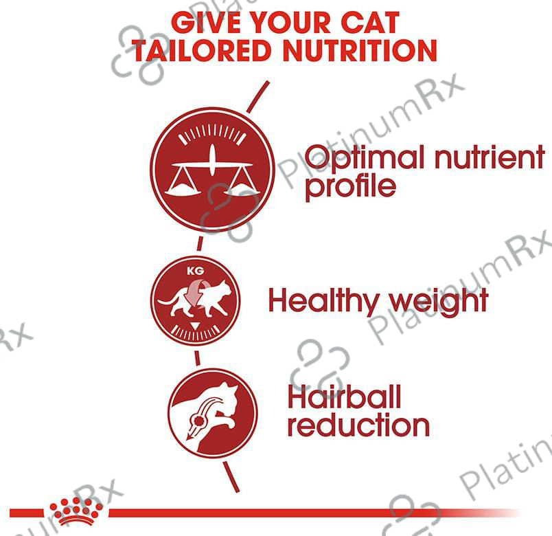 Royal Canin Dry Cat Food Fit 32 15 kg