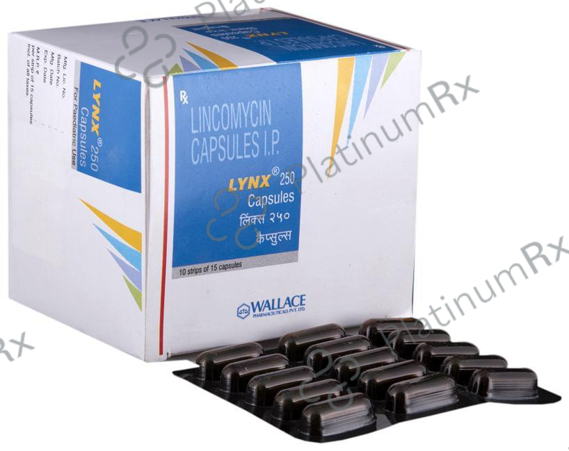 Lynx 250 Capsule