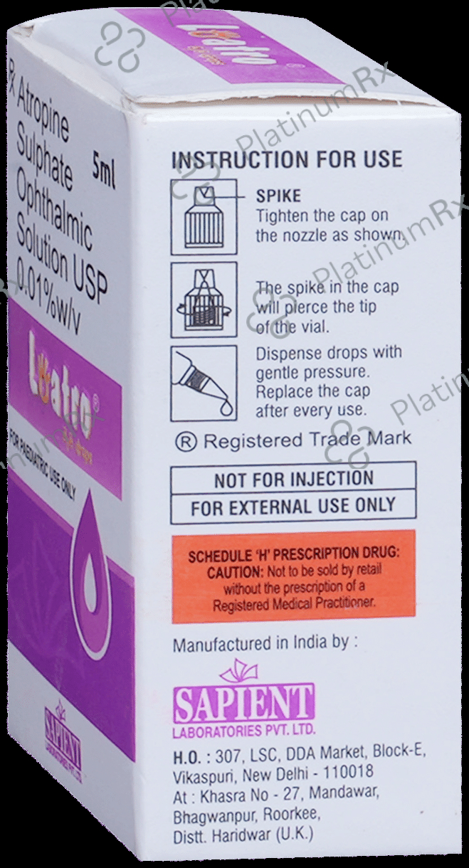 Cognolin P 500/400mg Tablet 10s