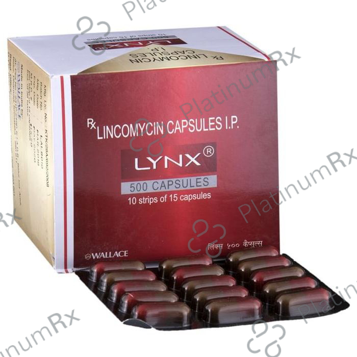 Lynx 500mg Capsule 15s