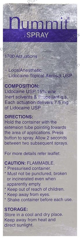 Nummit 15% Spray Fresh Mint 100gm