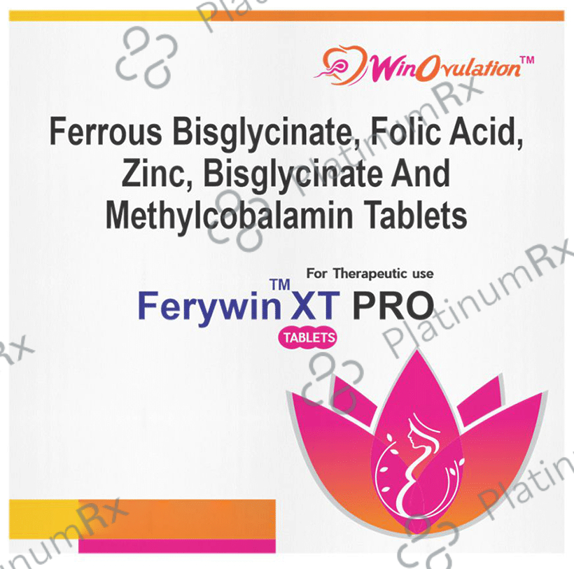 Ferywin XT Pro Tablet