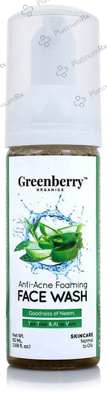 Greenberry Organics Anti-Acne Foaming Face Wash