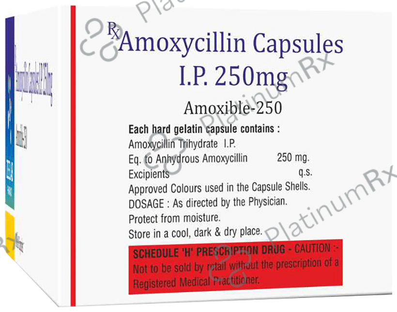 Amoxible 250 Capsule