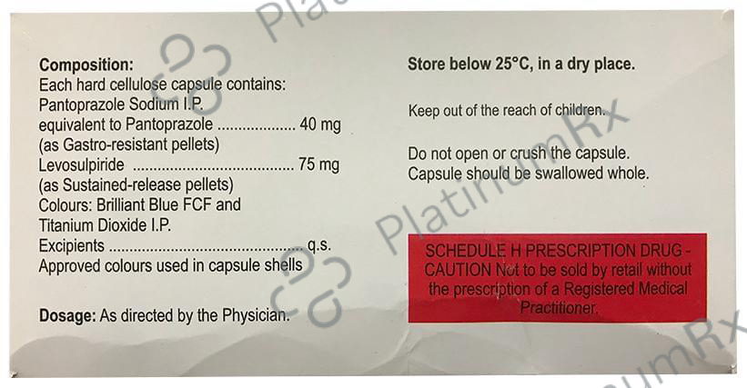 Zanpan L Capsule SR