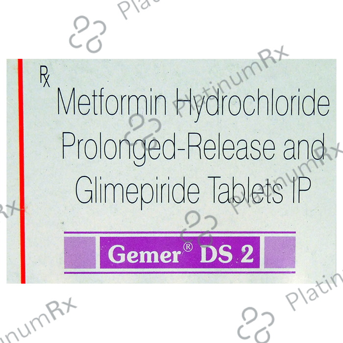 Gemer DS 2 Tablet PR