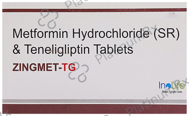 Zingmet-TG Tablet SR