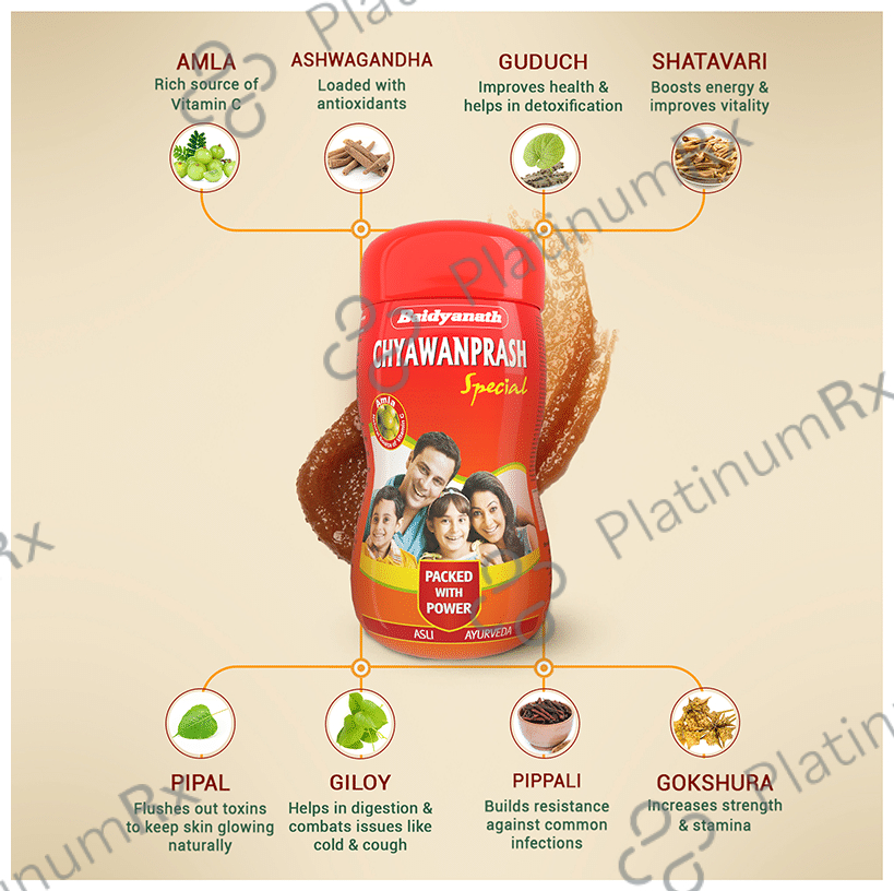 Baidyanath Chyawanprash Special Immunity Booster 500gm
