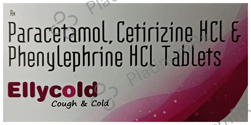 Elly Cold 5mg/325mg/5mg Tablet