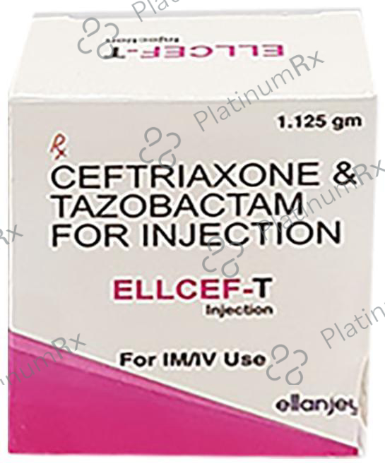 Ellcef-T Injection