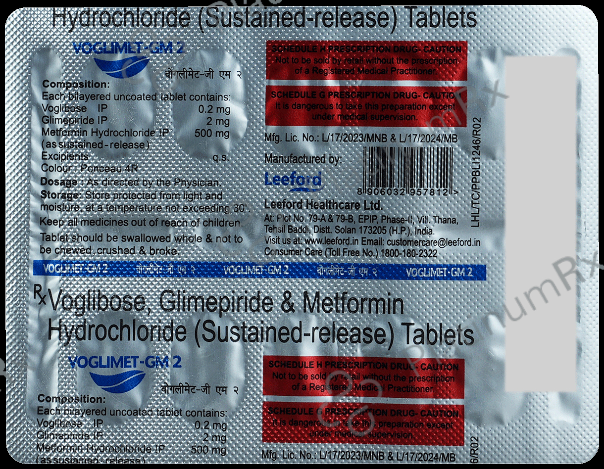 Voglimet GM 2/500/0.2mg Tablet SR 10s