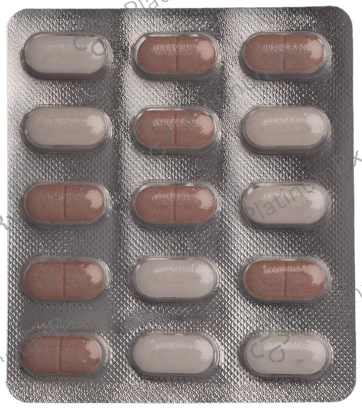 Mefomin GZ 80/500mg Tablet SR 15s