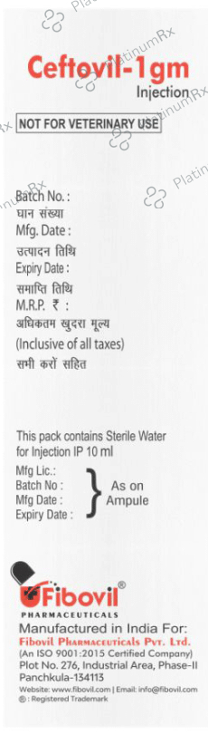 Ceftovil 1gm Injection