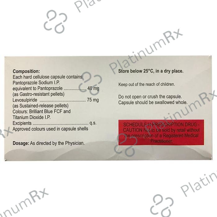 Zanpan L Capsule SR