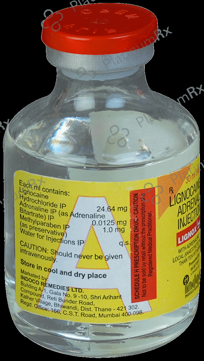 Lignox 2% A Injection 30ml
